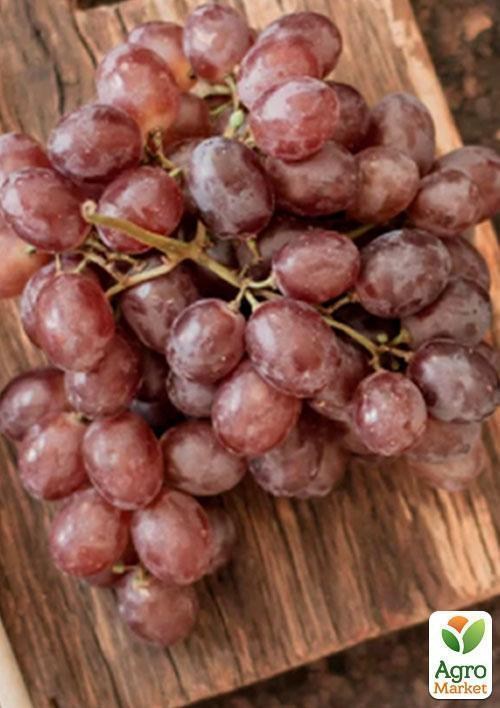 Виноград "Анюта ранняя"