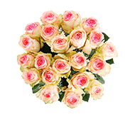 Уникальные сорта роз