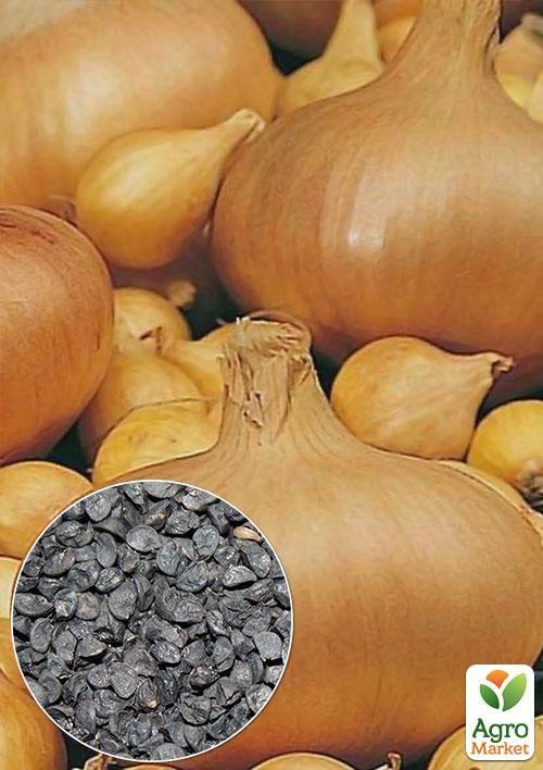 На вагу Цибуля "Штутгартен Різен" ТМ "Весна" ціна за 5г