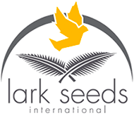 Lark seeds