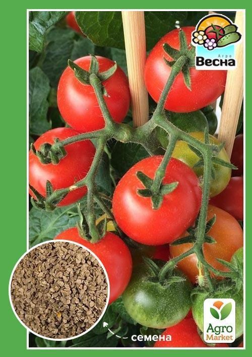 Томат "Балконне диво" ТМ "Весна" 0.1г