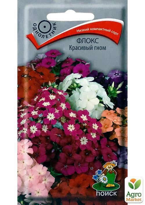 Флокс "Красивый гном" ТМ "Поиск" 0,2г