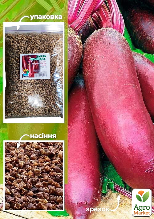 Свекла "Цилиндра" ТМ "Весна" 500г