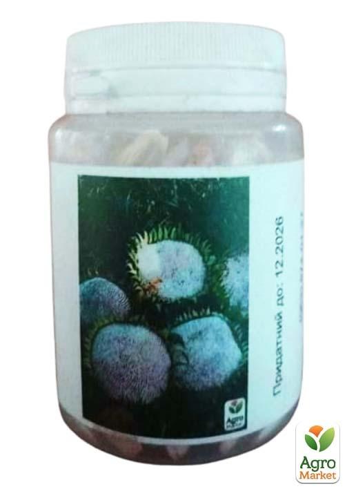 Подсолнечник "Турецкий белый" (в банке) ТМ "Весна Органик" 20г - фото 2