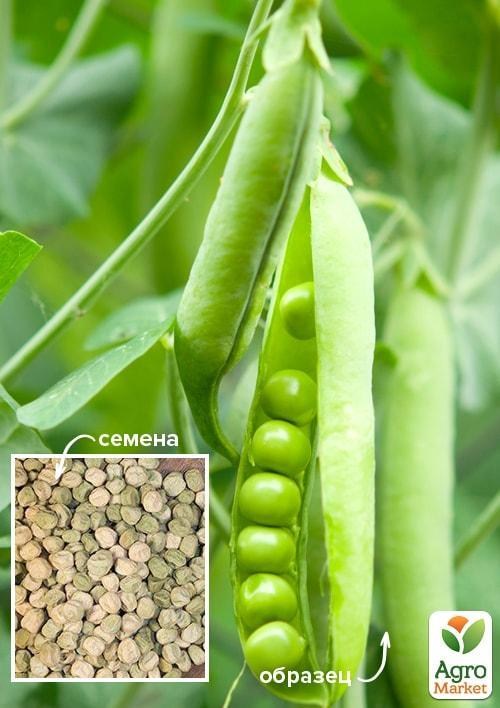 Горох "Преладо" ТМ "Весна" 100г