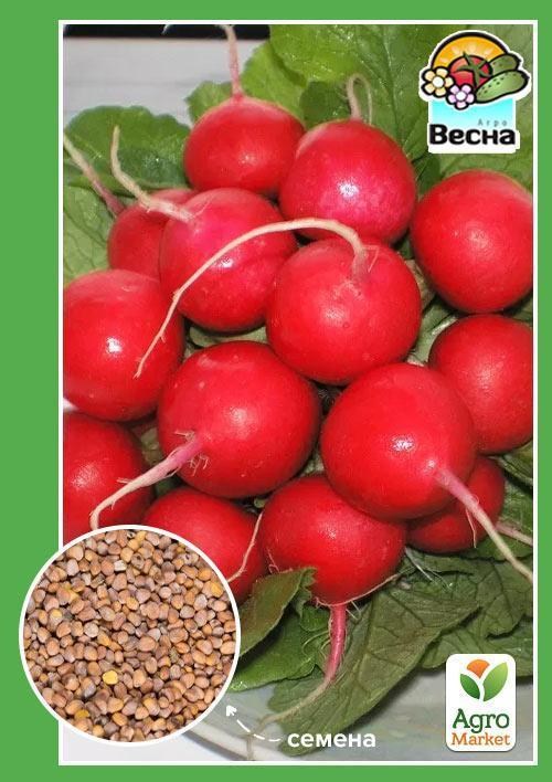 Редис "Илка" ТМ "Весна" 2г