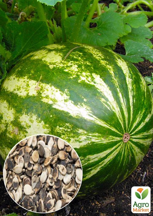 На развес Арбуз "Олигарх" ТМ "Весна" цена за 6г