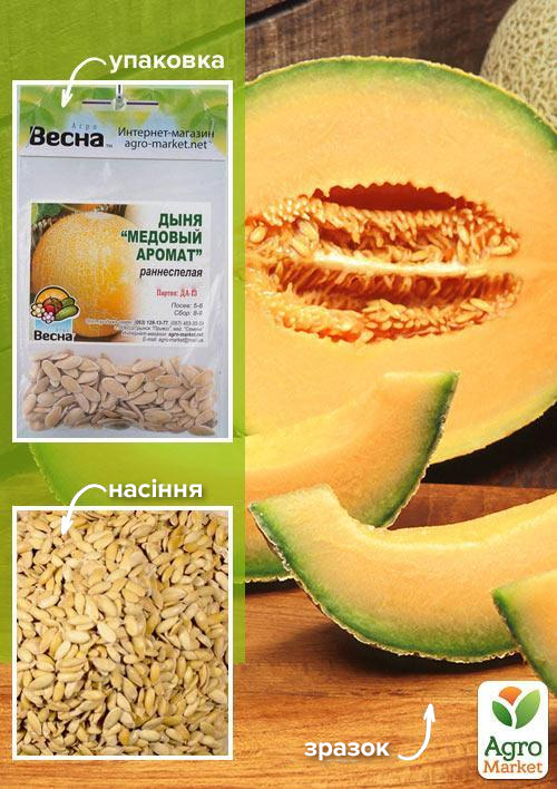 Дыня "Медовый аромат" (Зипер) ТМ "Весна" 3г