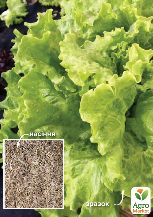 На вагу Салат "Традиція" ТМ "Весна" ціна за 8г