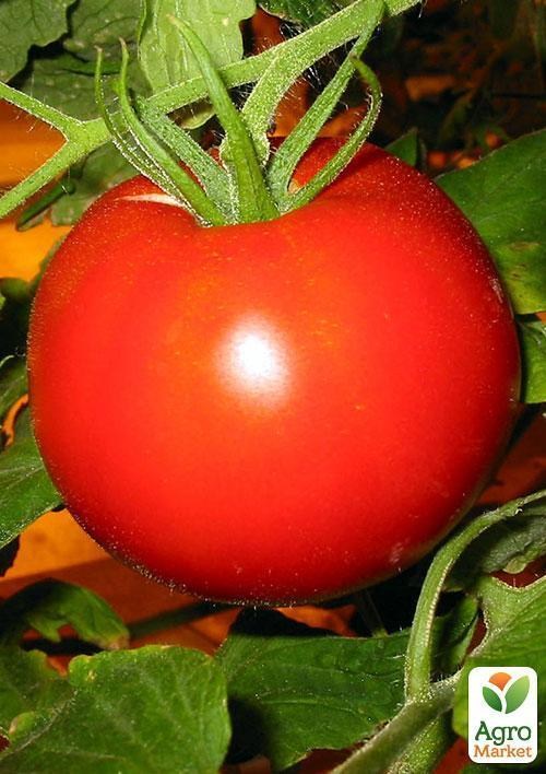 Томат "Мимоза" ТМ "Vesna Select" 0,2г - фото 2