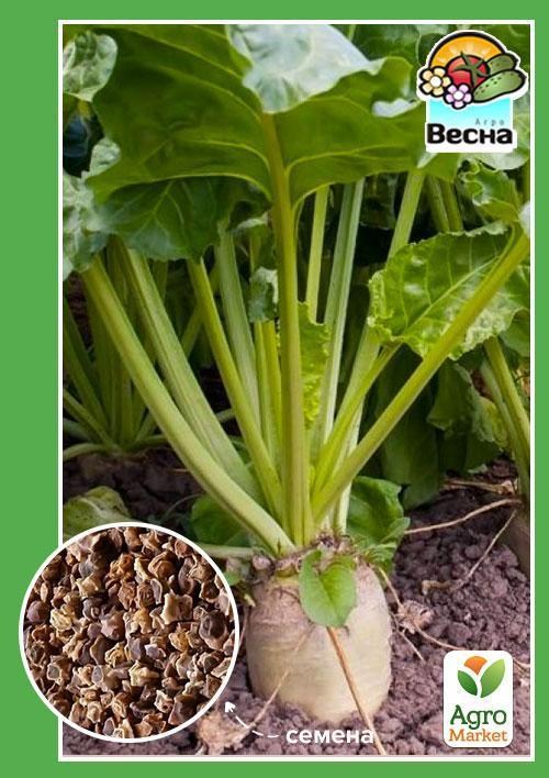 Свекла высокоурожайная "Сахарная" ТМ "Весна" 3г