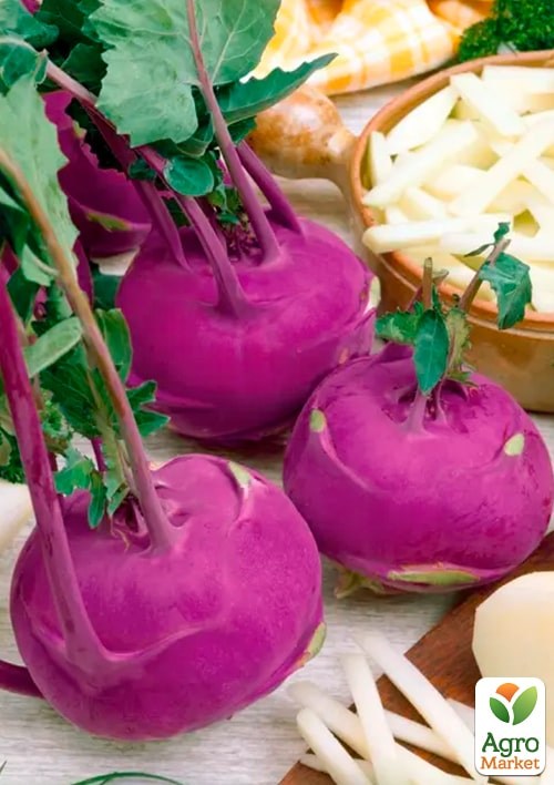 Капуста "Кольрабі червона" (Зипер) ТМ "Весна" 1г - фото 2