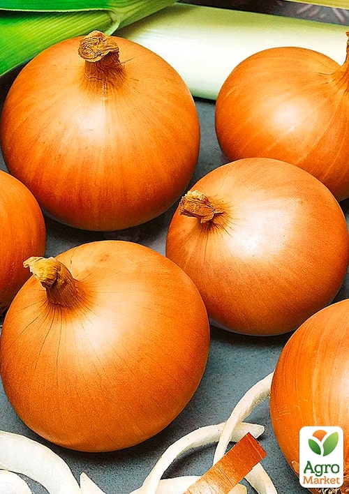 Цибуля-сіянка 1кг (арбажейка) "Стригунівський" (Україна)