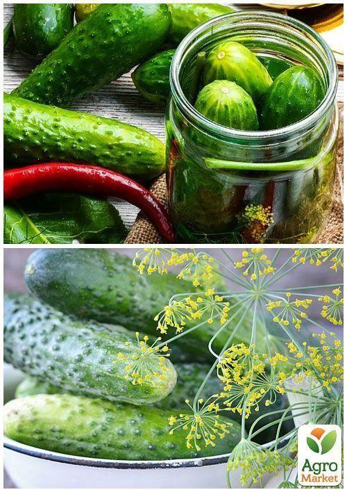 На вагу Огірок "Кайтек F1" ТМ "Весна" ціна за 3г - фото 5