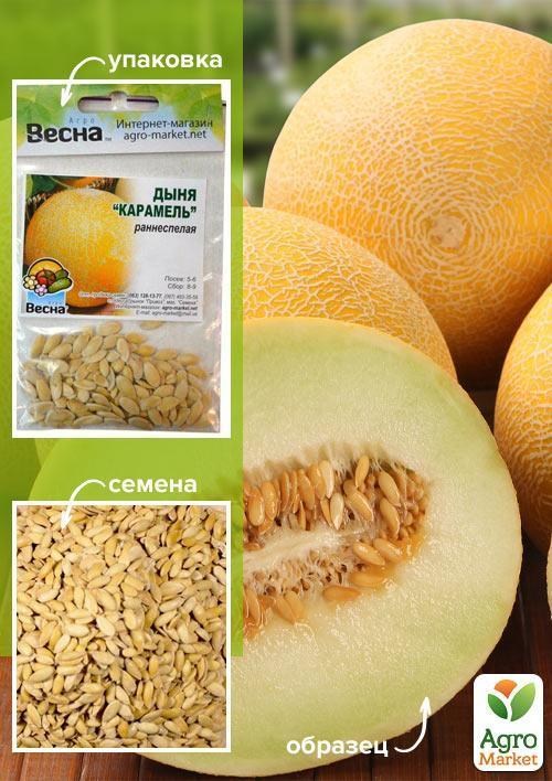 Дыня "Карамель" (Зипер) ТМ "Весна" 4г