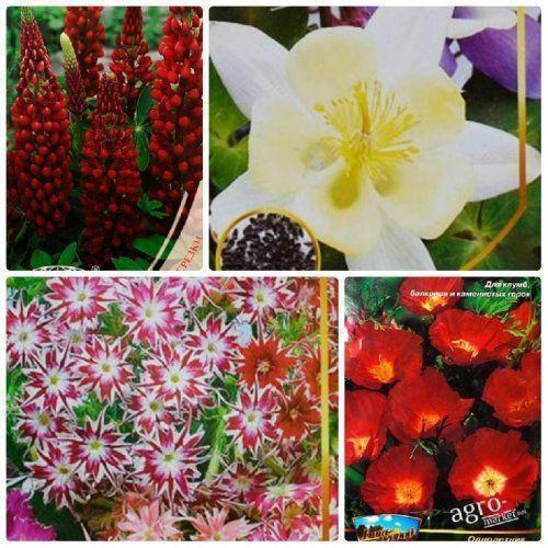 Комплект семян цветов "Весёлый цветник" 5уп