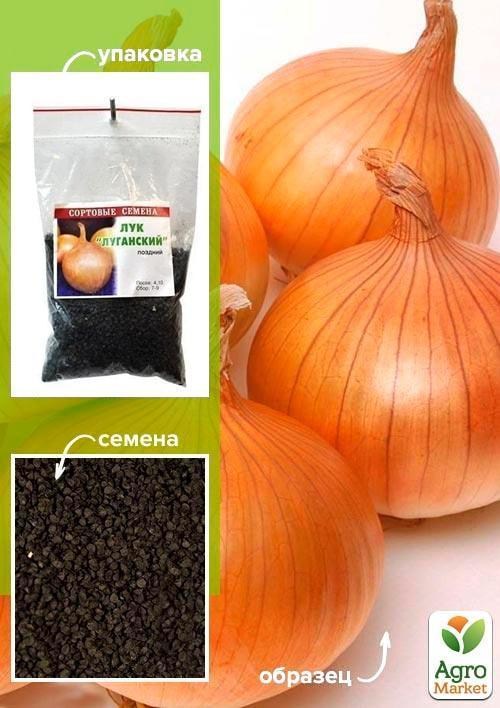 Лук "Луганский" ТМ "Весна" 100г