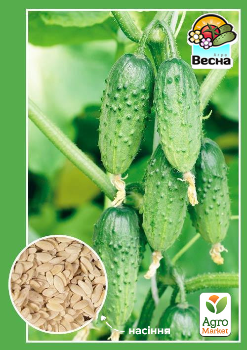 Огірок "Вірні друзі F1" ТМ "Весна" 0.25г