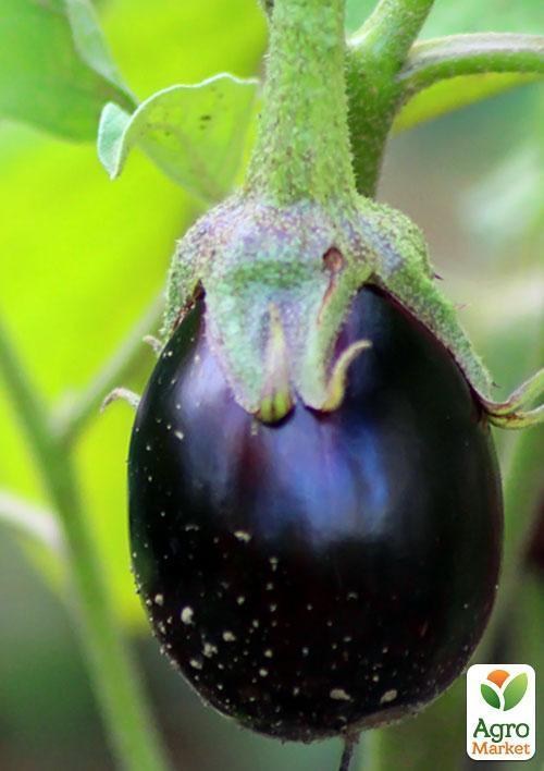 Баклажан "Карлсон" ТМ "Vesna Select" 20шт  - фото 3