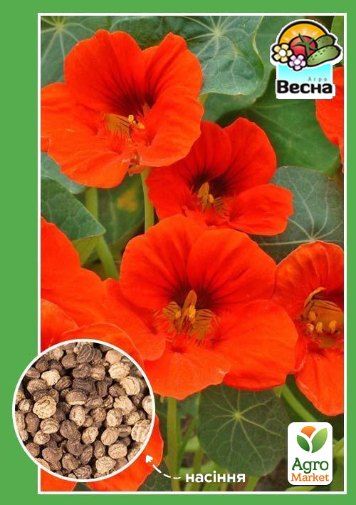 Настурція низькоросла "Червона" ТМ "Весна" 0.5г