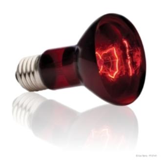 Exo-terra Лампа инфракрасная для террариума R20/75W (2214290)