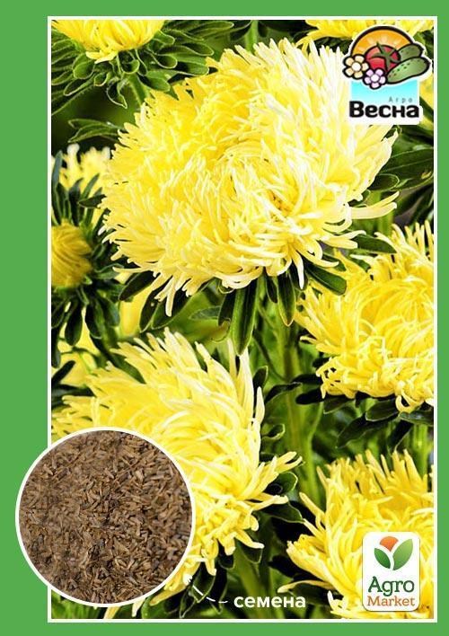 Астра "Игольчатая желтая" ТМ "Весна" 0,2г