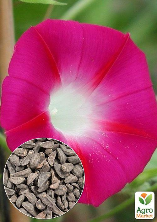 На развес Ипомея "Кримсон рамблер" ТМ "Весна" цена за 2г