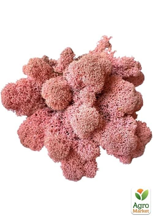 Стабілізований мох Ягель "Рожевий" 500 г 