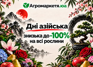 Дні азійська знизька до -100%!