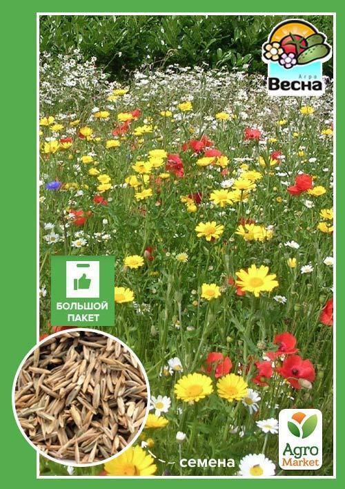 Газон "Мавританский" (Большой пакет) ТМ "Весна" 20г