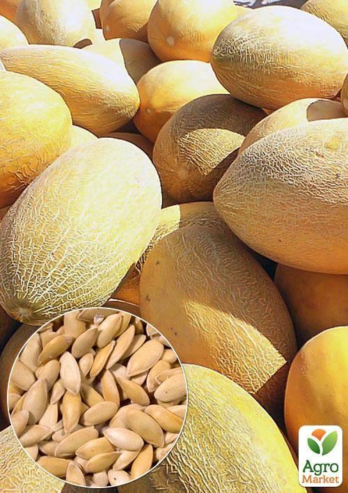 На вагу Диня "Ольвія" ТМ "Весна" ціна за 6г