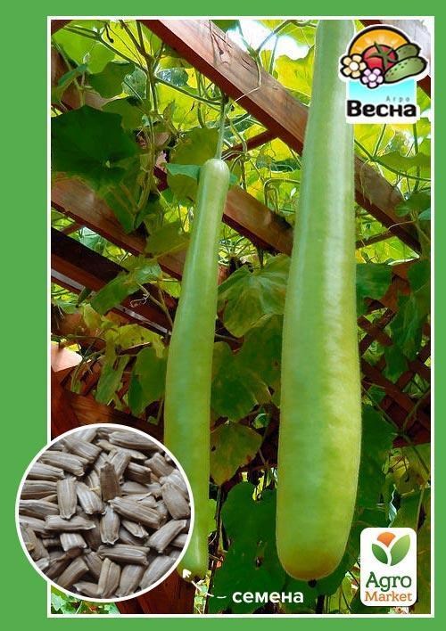 Вьетнамский кабачок "Лагенария" (Новый пакет) ТМ "Весна" 4шт