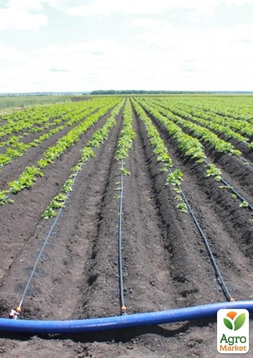 Капельная лента с плоским эмиттером, шаг30 ТМ "GOLDEN DRIP" 2000м - фото 2