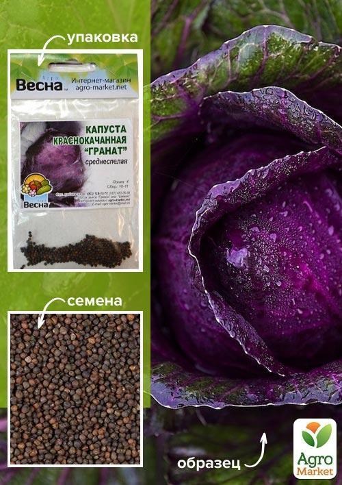 Капуста краснокочанная "Гранат" (Зипер) ТМ "Весна" 1г