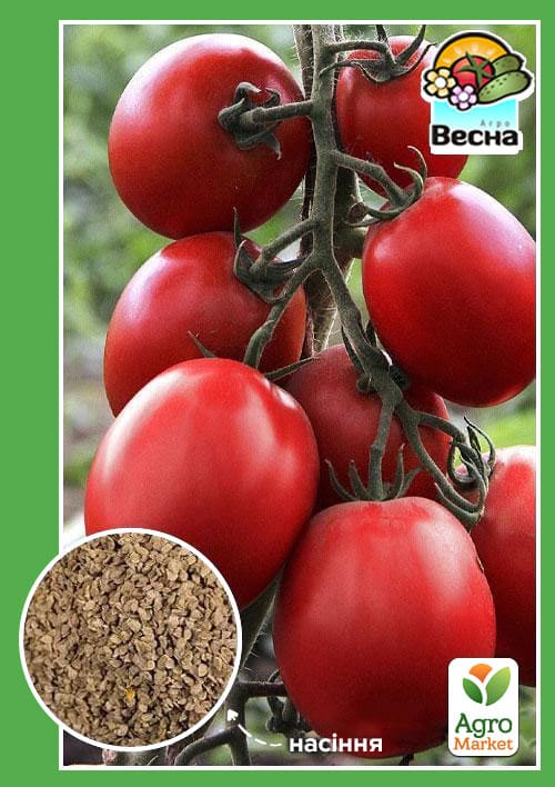 Томат "Новинка Придністров'я" ТМ "Весна" 0.2г