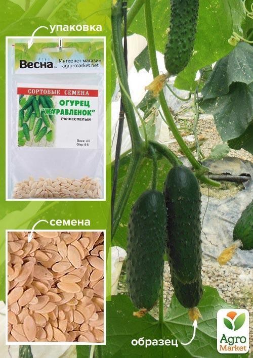 Огурец "Журавленок" (Зипер) ТМ "Весна" 1.5г