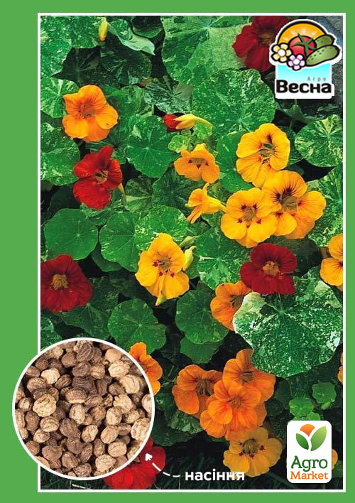 Настурция "Вьющаяся смесь" ТМ "Весна" 0.5г
