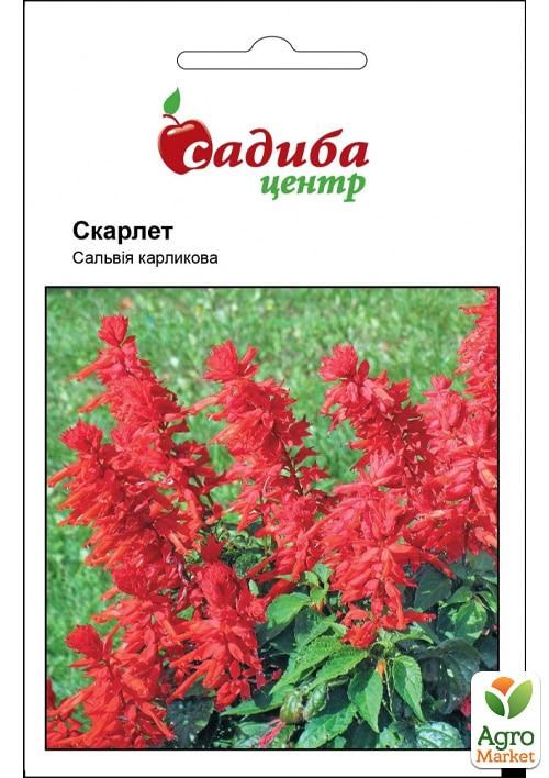 Сальвія «Скарлет» ТМ «Садиба центр» 0.1г