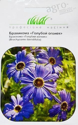 Брахікома "Блакитний вогник" ТМ "Hem Zaden" 0.1г