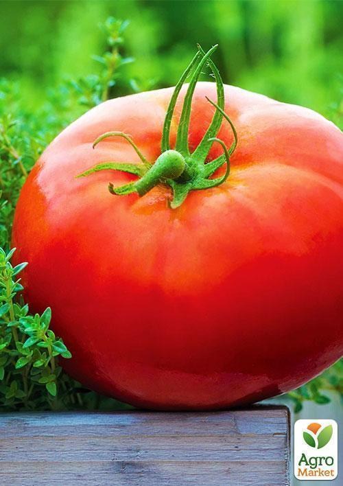 Томат "Мікадо червоний" (Зипер) ТМ "Весна" 0.5г - фото 4