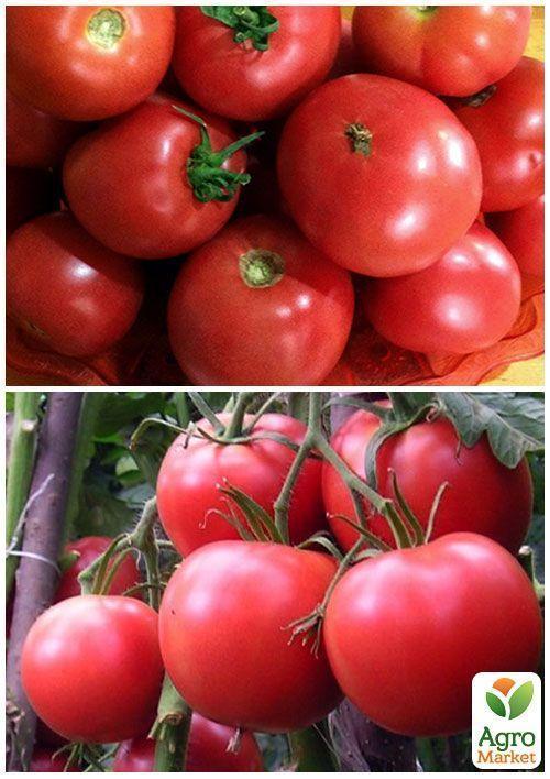 На развес Томат "Чудо рынка" ТМ "Весна" цена за 1г - фото 4