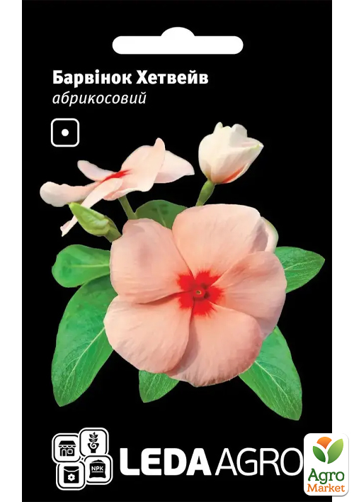 Барвінок "Хетвейв" абрикосовий ТМ "Leda Agro" 10шт