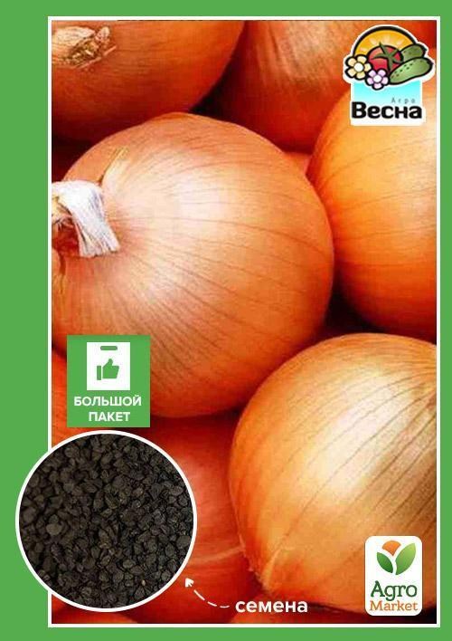 Цибуля "Луганська" (Великий пакет) ТМ "Весна" 3г