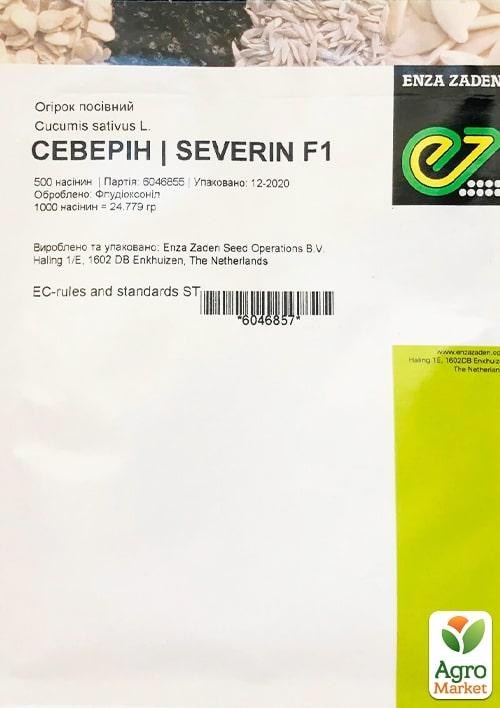 Огірок "Северін F1" ТМ "Enza Zaden" 500шт