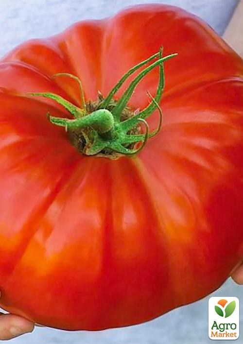 Томат "Король грядки" ТМ "Vesna Select" 0.2г