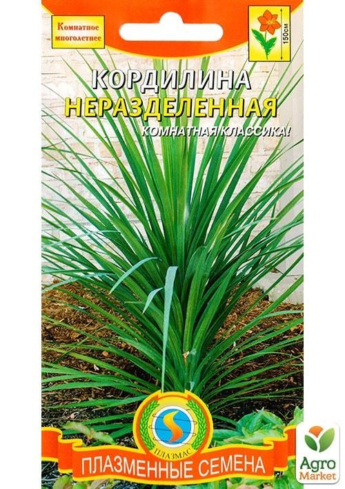 Кордилина неразделенная ТМ "Плазменные семена" 0,1г NEW