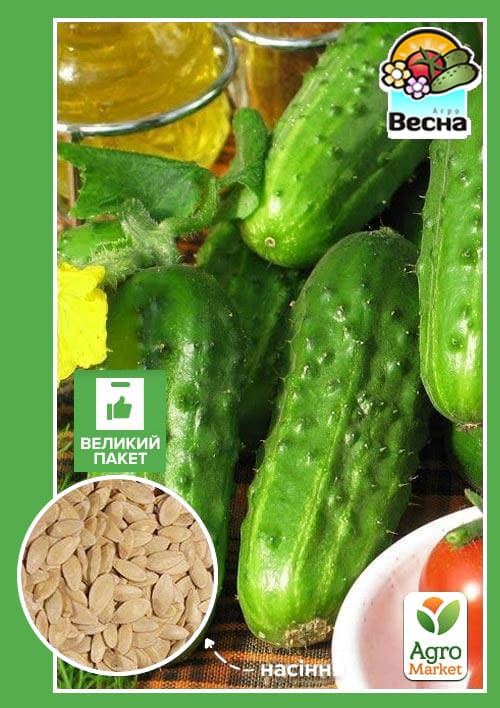 Огурец "Кустовой" (Большой пакет) ТМ "Весна" 2г