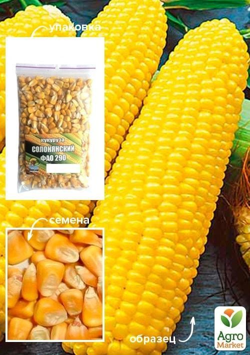Кукуруза кормовая "Солонянский ФАО 290" ТМ "Весна" 100г
