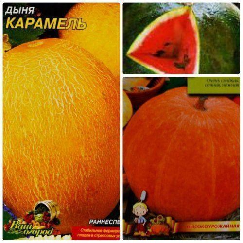 Комплект насіння овочів "баштанних тріо" 10уп