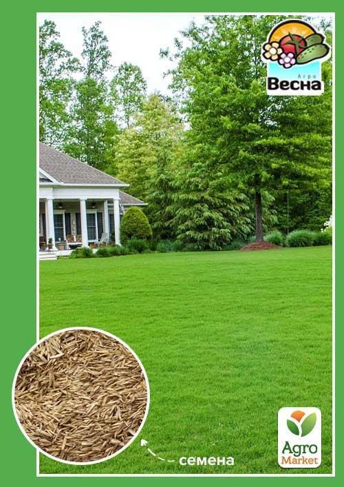Трава газонна ТМ "Весна" 10г